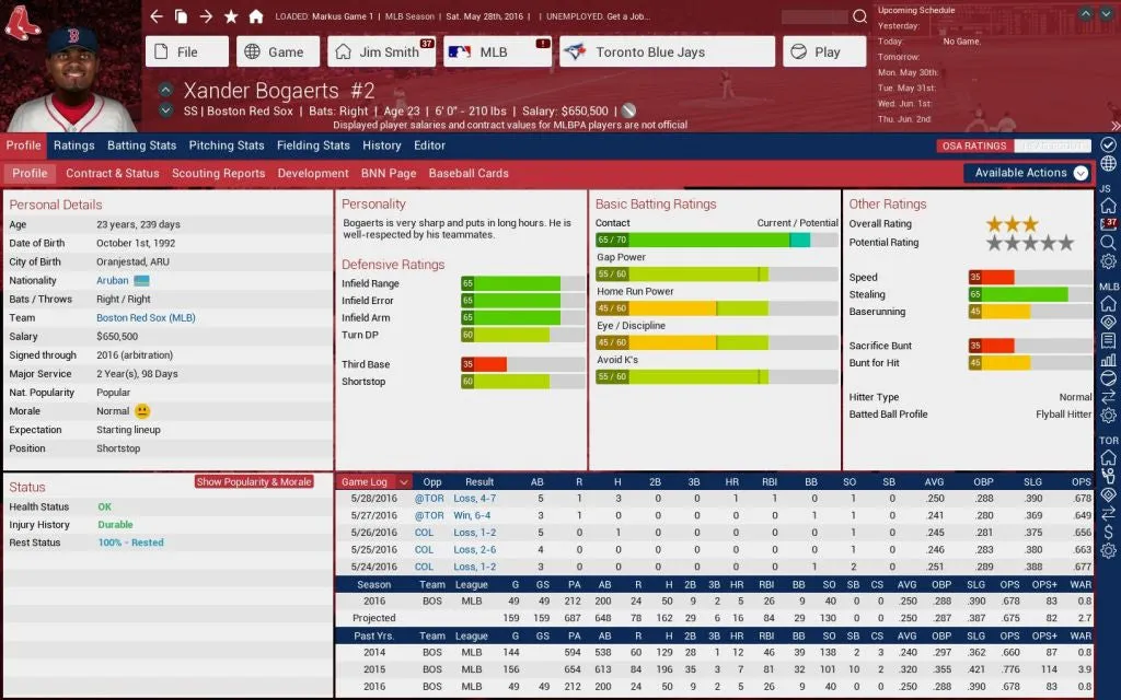 Out of the Park Baseball 17 (PC/MAC/LINUX)